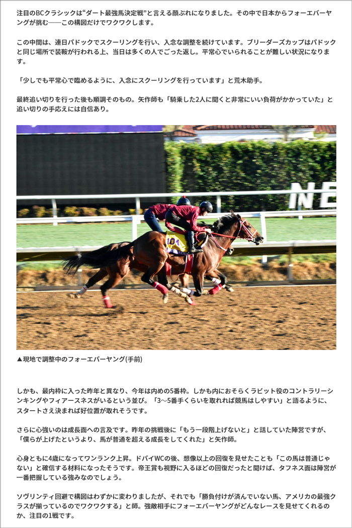 美浦トレセンレポート