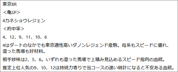 11月1日(土)東京8R 亀谷の見解