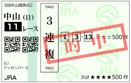 12月21日(日)中山11R購入馬券