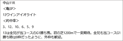 1月5日(月)中山11Rの見解