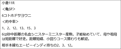 2月1日(日)小倉11Rの見解