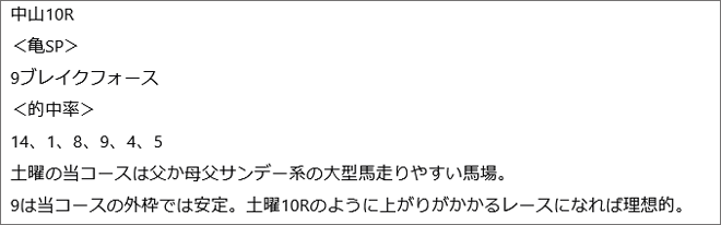 3月8日(日)中山10Rの見解