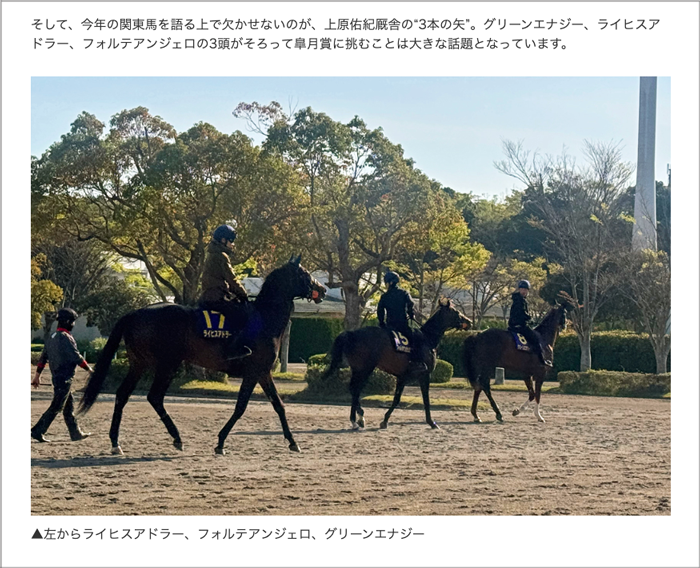 美浦トレセンレポート