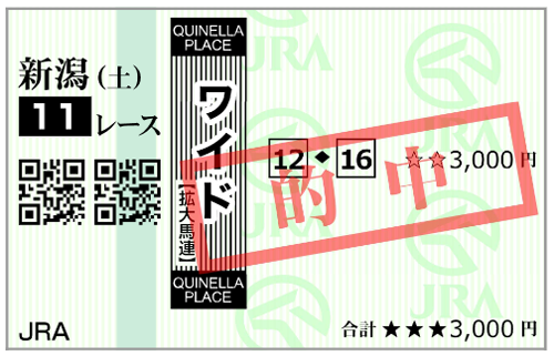 5月9日(土)新潟11R 購入馬券