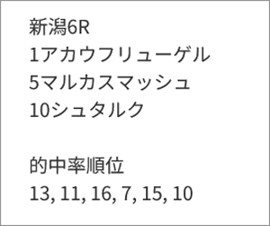 5月16日(土)新潟6R 評価順位