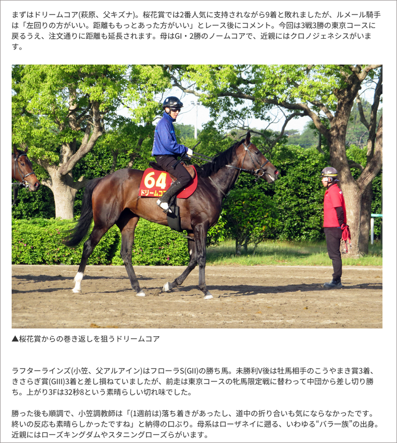 東スポ藤井記者の“若駒”生情報！