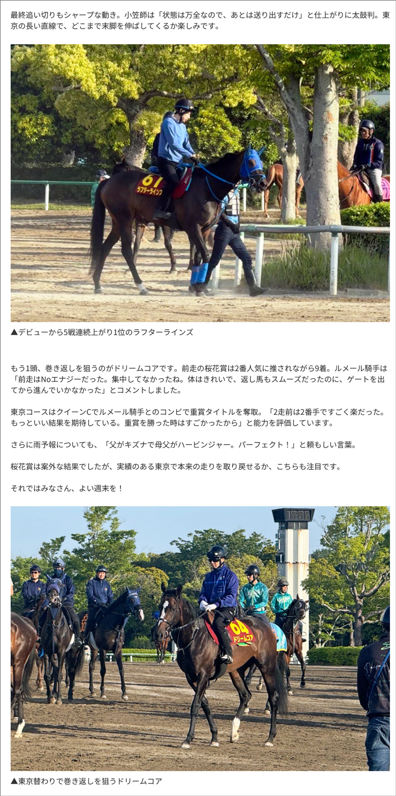 東スポ三嶋記者の美浦トレセンレポート