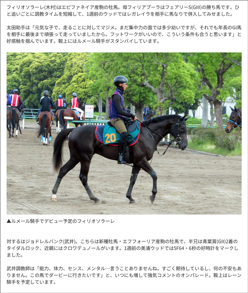 東スポ・藤井記者の“若駒”生情報! 東スポ・藤井記者の“若駒”生情報!