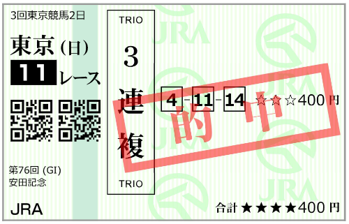 6月11日(日)東京11R 購入馬券