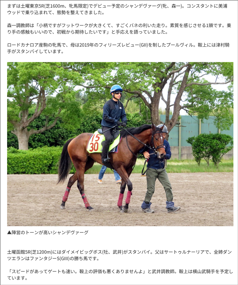 東スポ藤井記者の“若駒”生情報！
