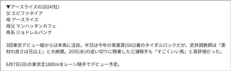 東京スポーツ・藤井真俊記者のPOG厳選2歳馬リスト