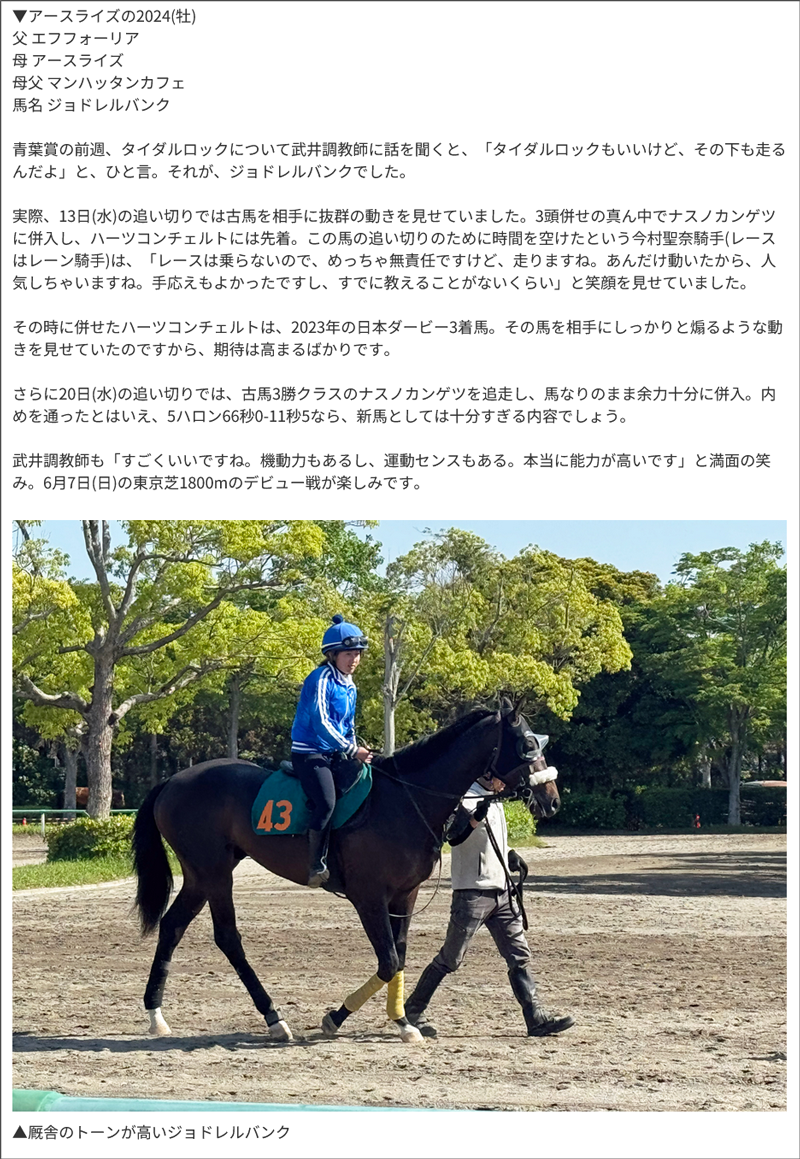 東京スポーツ・三嶋まりえ記者のPOG厳選2歳馬リスト