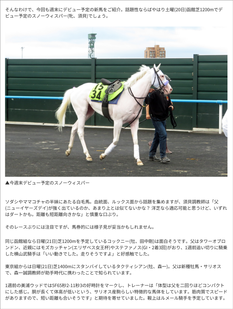 東スポ藤井記者の“若駒”生情報! 東スポ藤井記者の“若駒”生情報!