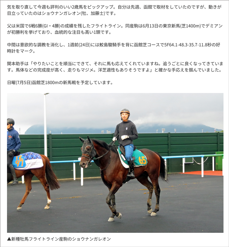東スポ藤井記者の“若駒”生情報! 東スポ藤井記者の“若駒”生情報!