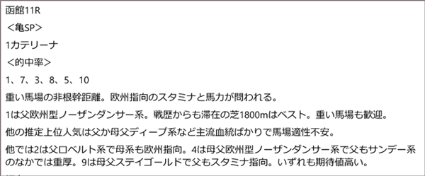 7月11日(土)函館11R 亀谷の見解