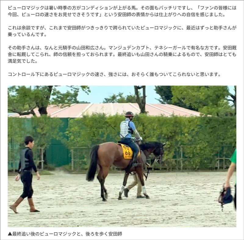 緻密な調整/大スポ・赤城記者の栗東トレセンレポート 緻密な調整/大スポ・赤城記者の栗東トレセンレポート