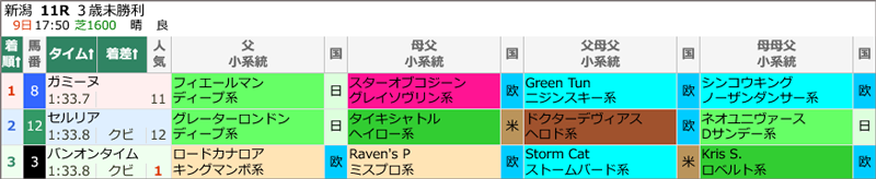 8月9日(日)新潟11R 結果 8月9日(日)新潟11R 結果