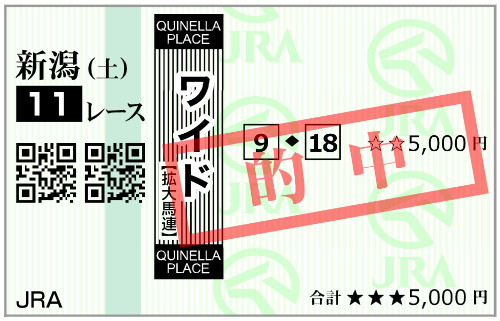 8月15日(土)新潟11R 購入馬券
