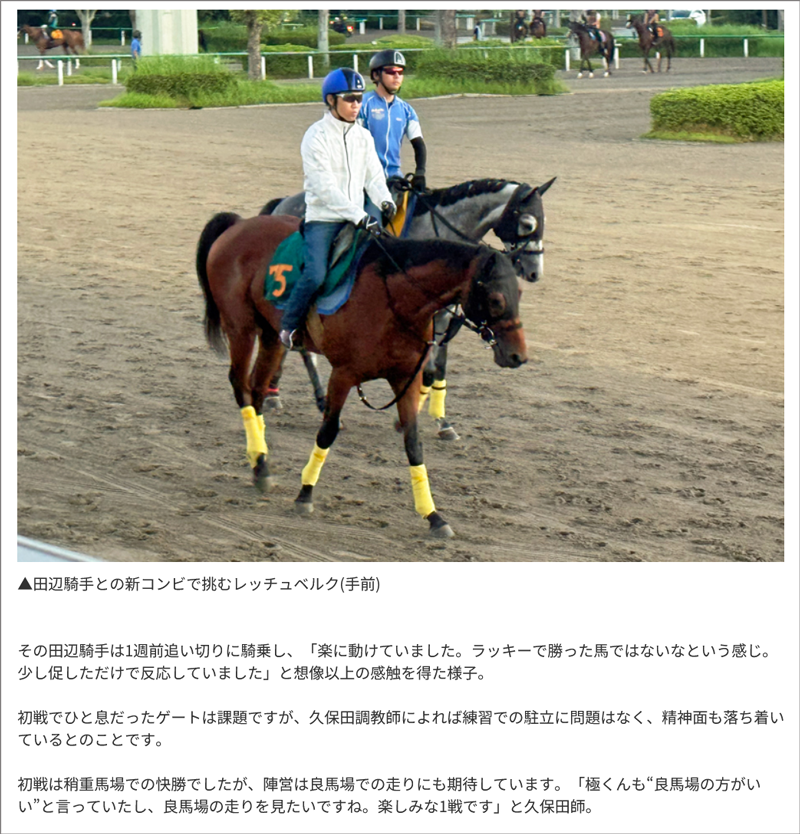 8月23日(日)新潟7R 結果 8月23日(日)新潟7R 結果