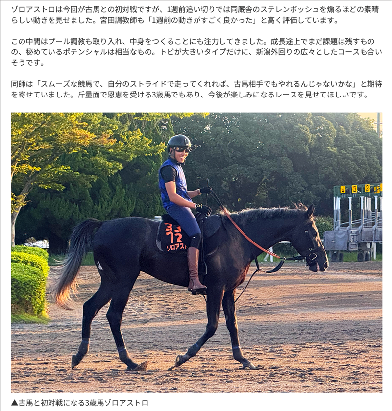 東スポ三嶋記者の美浦トレセンレポート 東スポ三嶋記者の美浦トレセンレポート