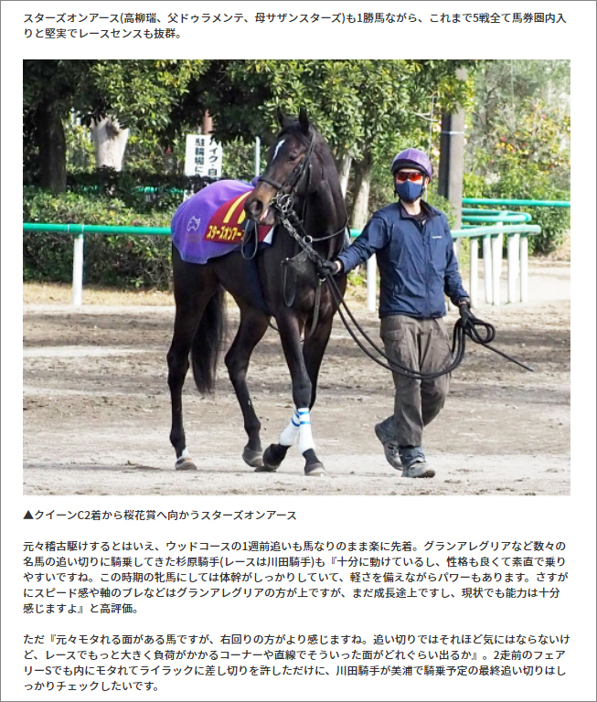   東スポ松井記者の“若駒”生情報！  
