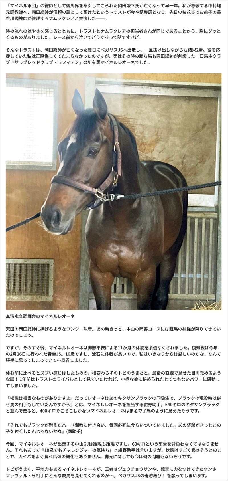 キタサンブラックのトレーニングパートナー！ マイネルレオーネのど根性/大スポ・赤城記者のトレセンレポート
